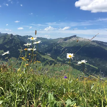 아파트 Sonnenstern *